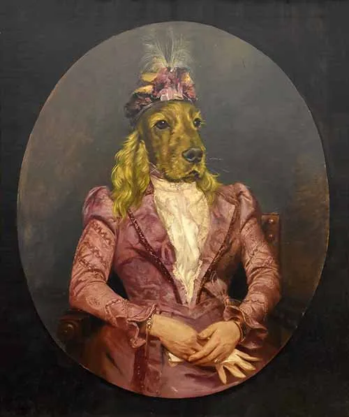 Portrait canin à la robe fushia