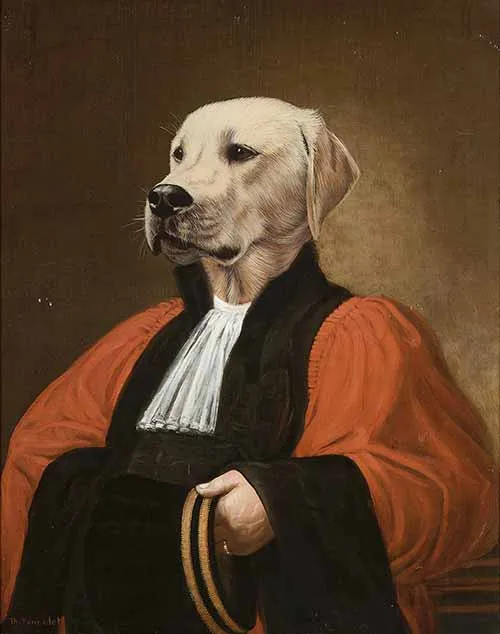 The advocate