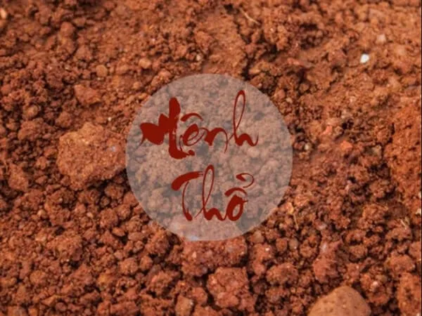 Cách chọn tranh phong thủy cho người mạng Thổ