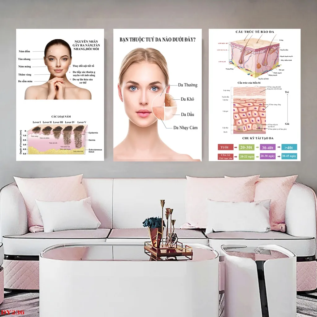 Tranh spa thông tin chăm sóc da